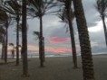 /album/foto-galeria/a100-0351-jpg/