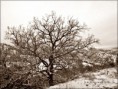 /album/foto-galeria/image-7-jpg2/
