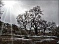 /album/foto-galeria/image-5-jpg2/