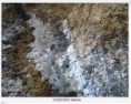 /album/foto-galeria/a100-1322-jpg/