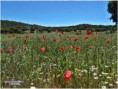 /album/foto-galeria/a100-0251-jpg/